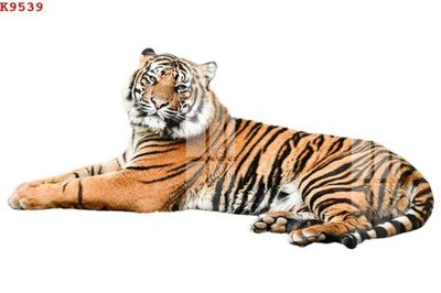 Ảnh gốc file in lụa File gốc in tranh tổng hợp K9539 chi tiết