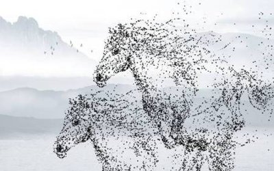 File PSD File tranh gốc tổng hợp tranh nền tường đẹp K95596 (bản gốc) độ phân giải cao