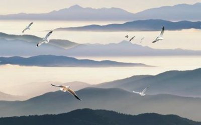 File gốc File tranh gốc tổng hợp tranh nền tường đẹp K96572 (trang trí) phòng ngủ