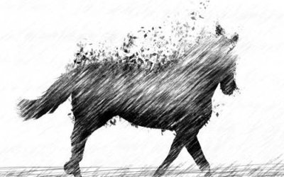 File tranh File tranh gốc tổng hợp tranh nền tường đẹp K96606 (gốc) chủ đề tĩnh vật