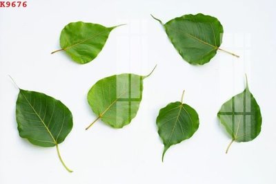 File gốc File gốc in tranh tổng hợp K9676 (dành cho trang trí nội thất)