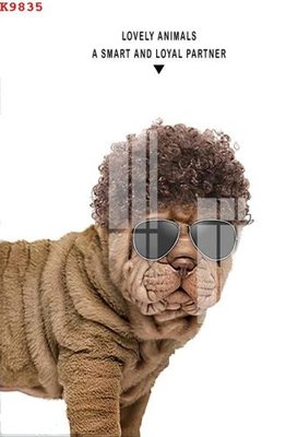 File in ấn File gốc in tranh tổng hợp K9835 (bản gốc) sắc nét