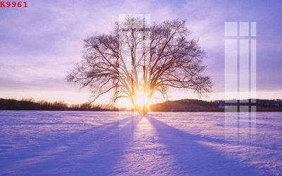 Download file gốc File gốc in tranh tổng hợp K9961 (in lụa) tranh 3D