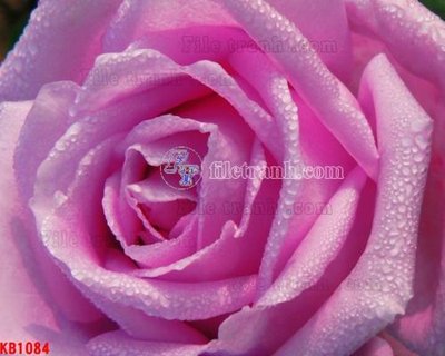 Hình ảnh file gốc in lụa File in kính bếp KB1084