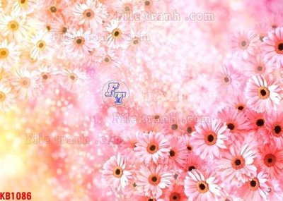 File ảnh File in kính bếp KB1086 (gốc) in biển hiệu