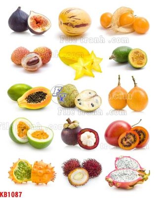 File ảnh File in kính bếp KB1087 (gốc) in PP, decal