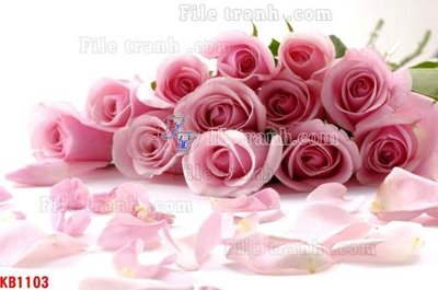 File tranh File in kính bếp KB1103 (bản gốc) in lụa dán tường