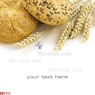 Tải file File in kính bếp KB1111 (ảnh gốc) file TIFF