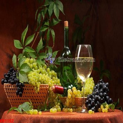 File PSD File in kính bếp KB1152 (bản gốc) độ phân giải cao