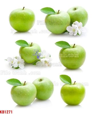 Mua file gốc File in kính bếp KB1271 (chất lượng) tại Filetranh.com