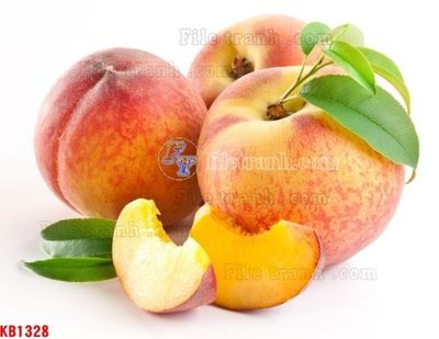 Tệp tin gốc File in kính bếp KB1328 (dùng cho in) File in kính bếp KB1328