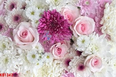 File gốc File in kính bếp KB1342 (in tráng gương) nghệ thuật