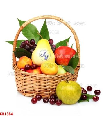 File PSD File in kính bếp KB1364 (bản gốc) chất lượng nhất