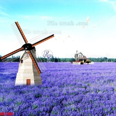 File tranh in mica File in kính bếp KB1369 (độ phân giải cao)