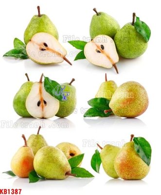 Download file File in kính bếp KB1387 (chuẩn in) chất lượng cao