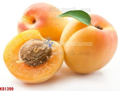 Tải file gốc File in kính bếp KB1399 (in khổ lớn) không mờ