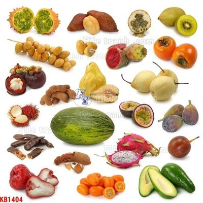 File gốc in ấn File in kính bếp KB1404 độ phân giải cao