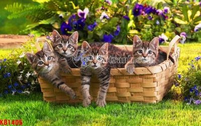 File gốc in ấn File in kính bếp KB1405 chuẩn màu CMYK