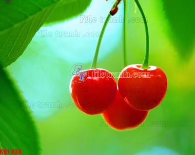 Tải file File in kính bếp KB1434 (ảnh gốc) in gạch men