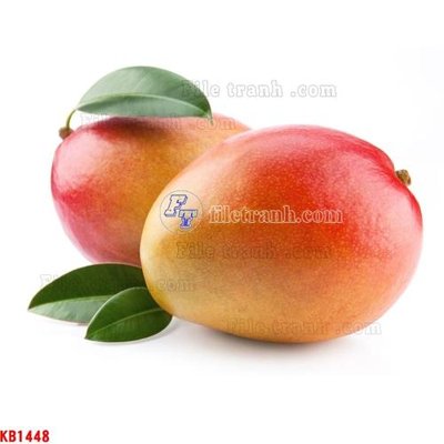 Ảnh gốc File in kính bếp KB1448 (siêu chi tiết) để in ấn