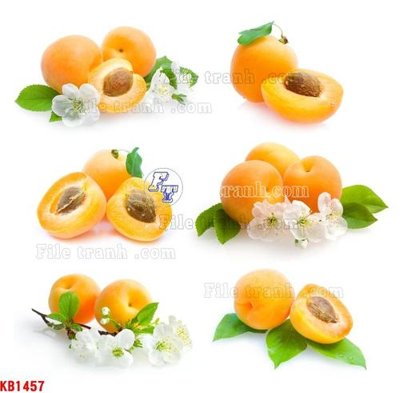 File gốc File in kính bếp KB1457 (in lụa) tranh mã đáo