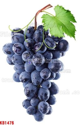 File tranh in trần File in kính bếp KB1476 (ảnh gốc siêu nét)