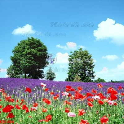 File tranh File in kính bếp KB1494 (bản gốc) treo tường