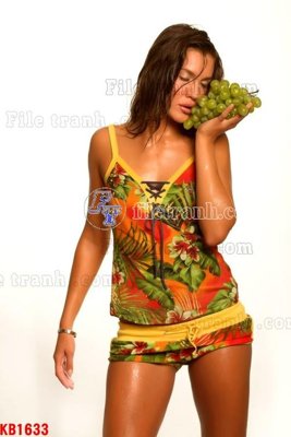 Tải file File in kính bếp KB1633 (ảnh gốc) 300dpi File in kính bếp KB1633