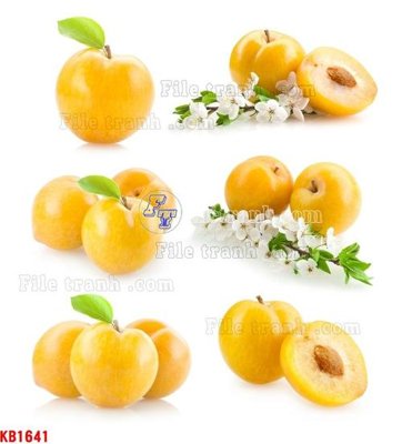 File gốc File in kính bếp KB1641 (chuẩn CMYK) cho nhà in