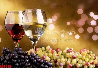 File in lụa File in kính bếp KB1649 (chất lượng cao) File in kính bếp KB1649