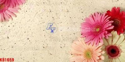 Tải file File in kính bếp KB1659 (gốc) in trên mọi chất liệu