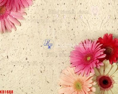 File tranh quảng cáo File in kính bếp KB1688 (download file gốc)