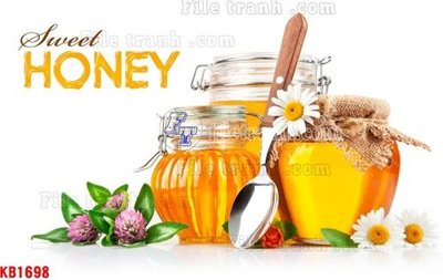 File PSD File in kính bếp KB1698 (bản gốc) cho nhà in