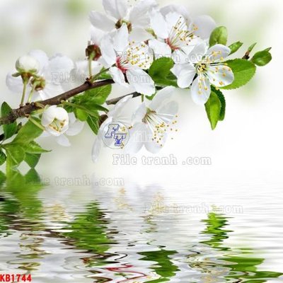 File gốc File in kính bếp KB1744 (cho in ấn) từ Filetranh.com