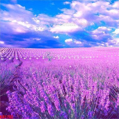 File gốc File in kính bếp KB1782 (cho in UV) siêu nét