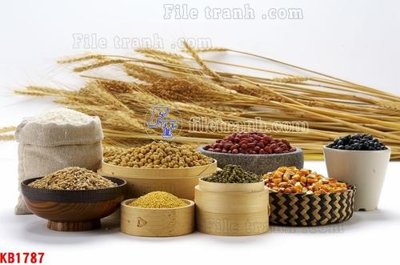 Download file gốc File in kính bếp KB1787 (in mica) 3D