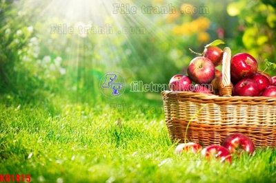 Tệp tin gốc File in kính bếp KB1815 (dùng cho in) File in kính bếp KB1815