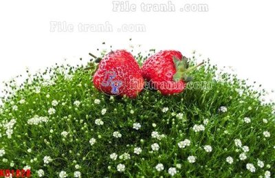 File gốc File in kính bếp KB1828 (in lụa) họa tiết 3D