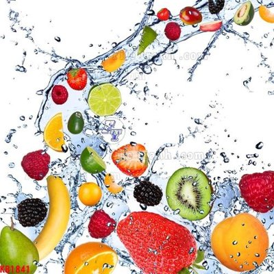 File in lụa File in kính bếp KB1841 (hoa văn) File in kính bếp KB1841