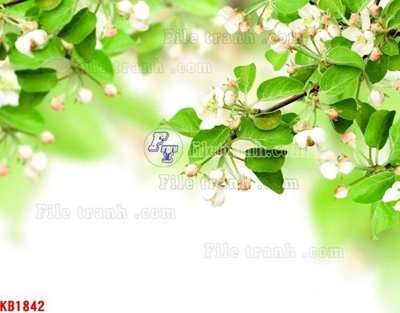 Tải file tranh File in kính bếp KB1842 (gốc) tại Filetranh.com