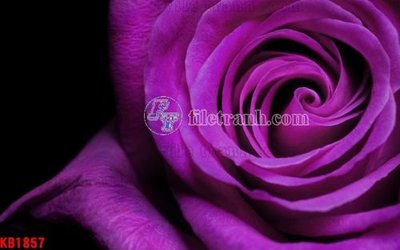 File ảnh File in kính bếp KB1857 (gốc) trang trí khách sạn