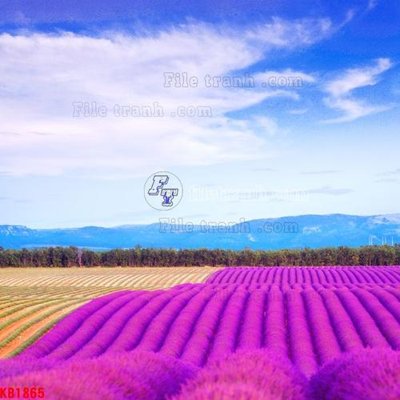 File in ấn File in kính bếp KB1865 (bản gốc) chất lượng cao