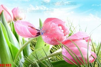 Mua file gốc File in kính bếp KB1883 (PSD) tại Filetranh.com