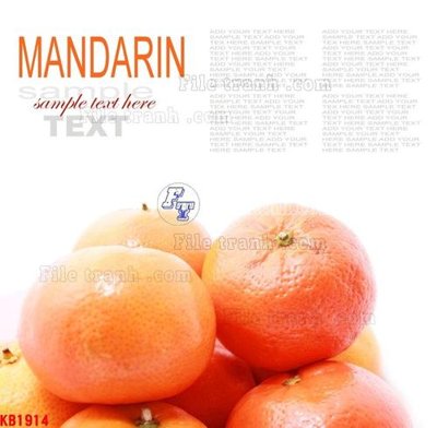 File gốc File in kính bếp KB1914 (in ấn) màu sắc trung thực