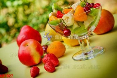 File tranh File in kính bếp KB1927 (gốc) chủ đề động vật