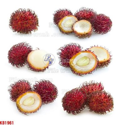 Hình ảnh file gốc in lụa File in kính bếp KB1961