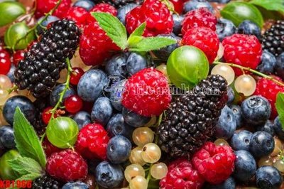 Tải file File in kính bếp KB1966 (ảnh gốc) 300dpi File in kính bếp KB1966