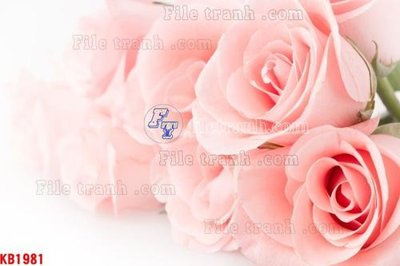 Tải file File in kính bếp KB1981 (gốc) in trên mọi chất liệu