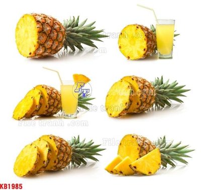 File gốc File in kính bếp KB1985 (AI/EPS) cho in ấn