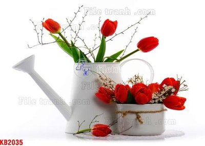 File ảnh File in kính bếp KB2035 (gốc) dùng in Pano